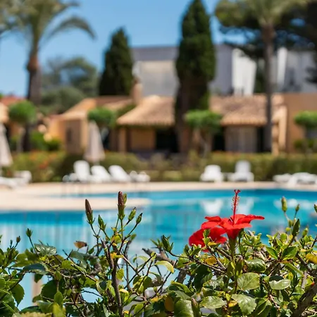Enjoy - Oasis Con Piscina Y A Metros Del Mar *